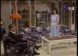 梧桐夜雨 圖3