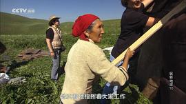 玩轉(zhuǎn)地球 第一季 圖6