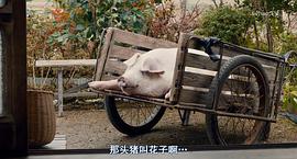 生存家族演員表 圖10