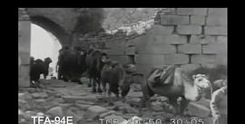 中國(guó)和中國(guó)人 圖6