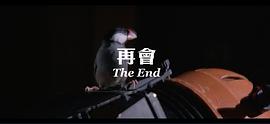 文雀 圖2