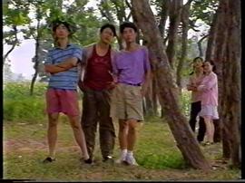 一畝三分地 圖7