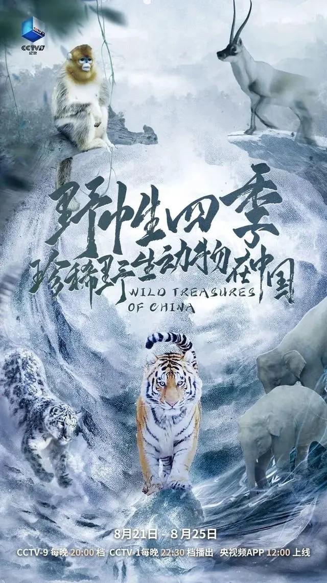 野性四季：珍稀野生動物在中國