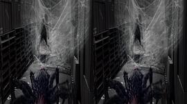 spiders 图9