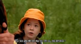 2004年何召仪主演的蝴蝶 图2