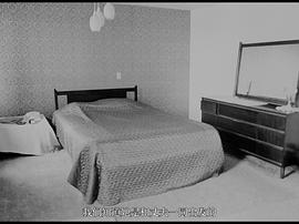 旅行日志 圖5