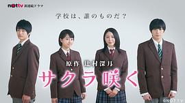 櫻花綻放 圖3