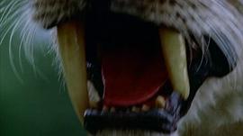 與古獸同行 圖1
