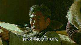 電視連續(xù)劇東北剿匪記 圖1