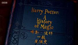 哈利·波特1:魔法石评价 图4