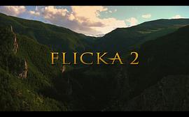 弗利卡1 电影 图8