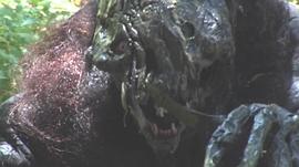 泥爪 圖1