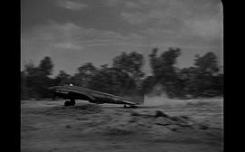二战电影飞行堡垒免费观看 图10