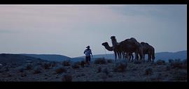 沙漠大战鸵鸟电影免费观看 图4