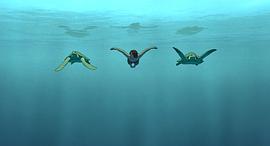 电影红海龟主题的意思是什么 图1