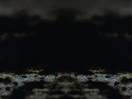 微塵 圖1