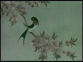 小燕子 圖8