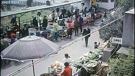 龍爺虎孫 圖1
