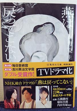 燕子筑巢 圖9