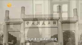 好夢難圓——蔣介石與胡適 圖3