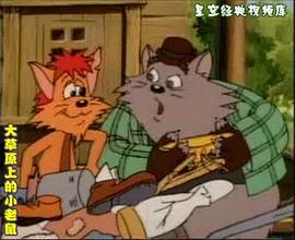 大草原上的小老鼠 圖4