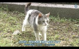 科搜研之女16季劇情 圖2