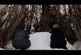 栗色伊拉克 圖2