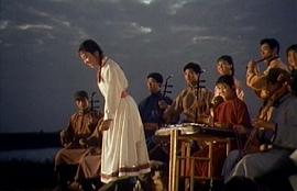 戰(zhàn)地黃花 圖7