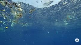 塑料海洋纪录片观后感 图1