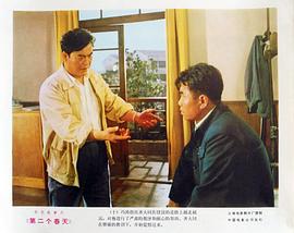 第二個(gè)春天 圖4