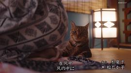 新日本風(fēng)土記 圖5