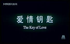 爱情钥匙 图5
