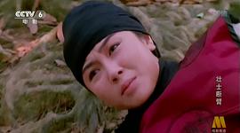 壯士斷臂 圖7