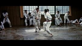 空手道人生 圖6