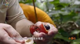 水果電視劇 圖9