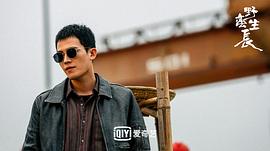 風(fēng)吹半夏大致講了什么故事 圖4