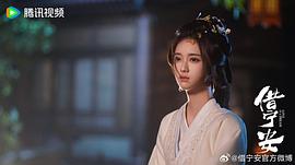 借寧安 圖3