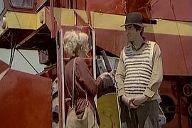 寬廣的闊葉林 圖5