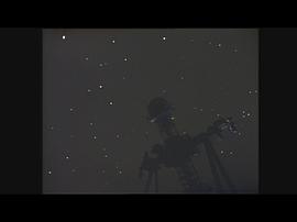 熱帶夜 圖4