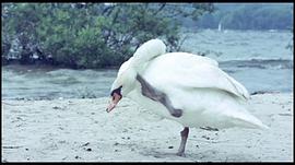 蘿莉的誘惑2 圖5