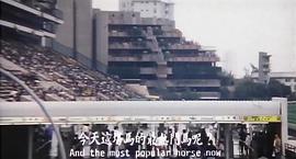 風(fēng)流家族 圖8