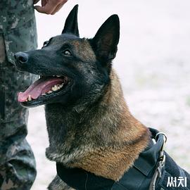 搜索 圖10