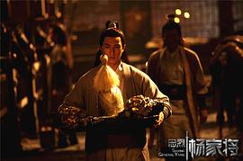 忠烈楊家將 圖4