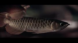 破地獄 圖1