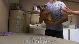 鬼影實(shí)錄詛咒到底說(shuō)的是啥 圖7