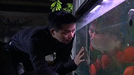 絕密押運 圖3