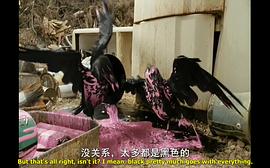 夏洛特的网 图8