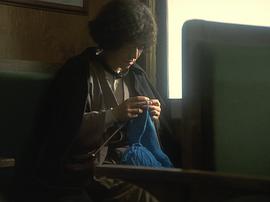 女王蜂 圖8