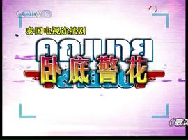 法制劇女毒販 圖7