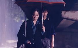 北京杂种 图7